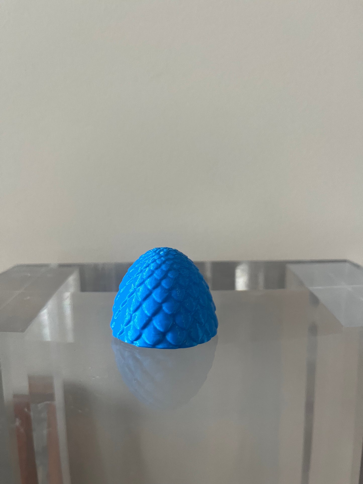 Dragon egg only ￼