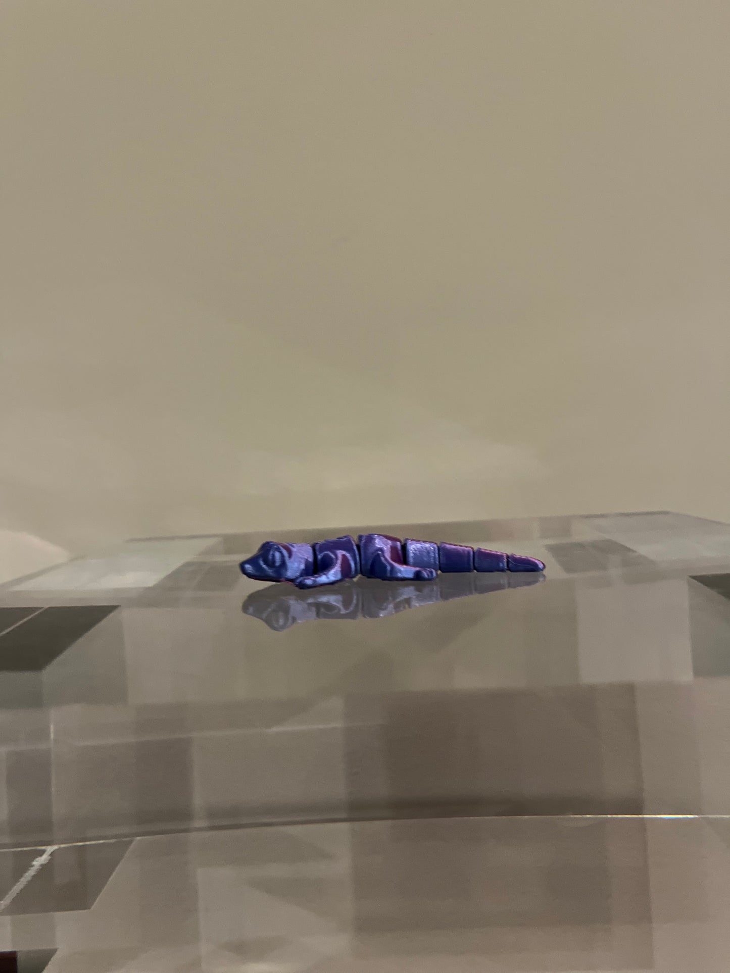 Flexi salamander